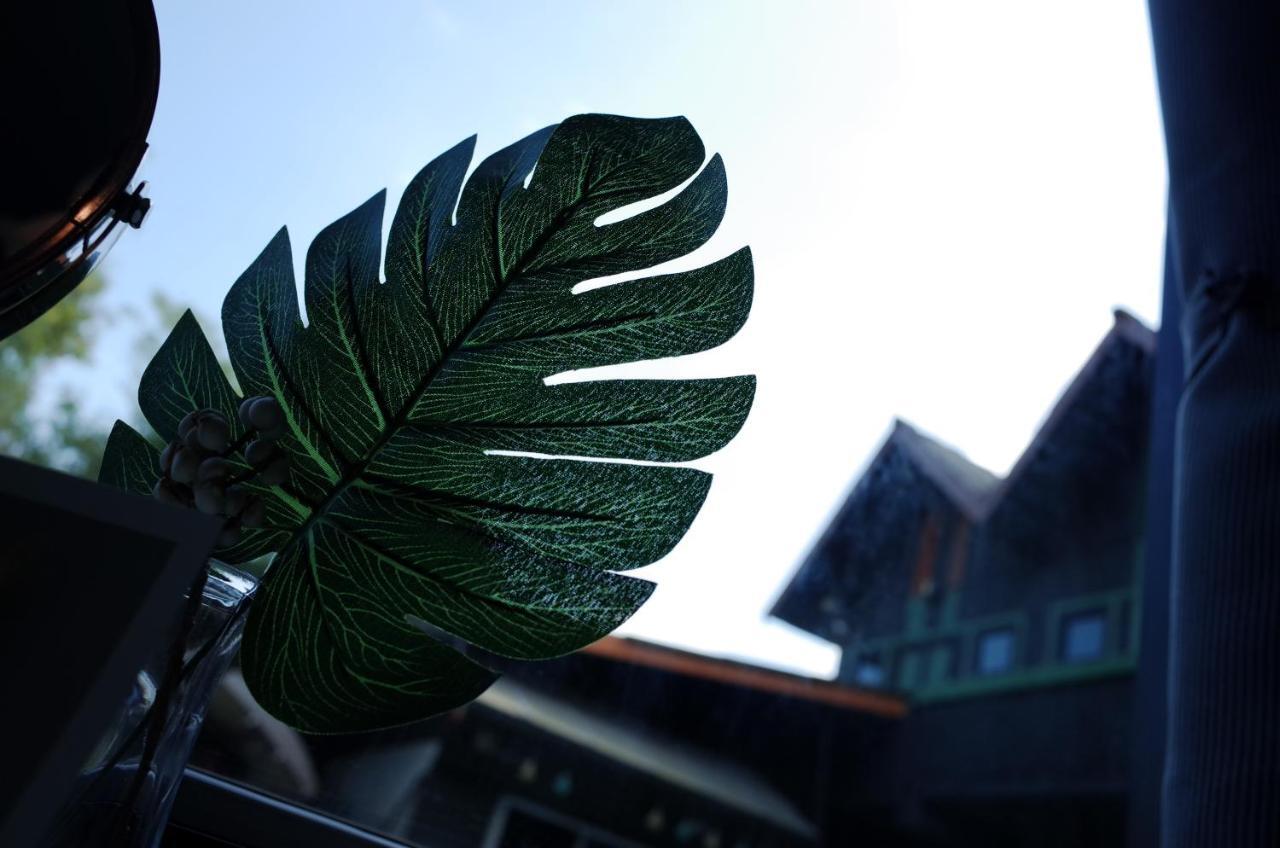 Chiangmai Moli Inn (Adults Only) Chiang Mai Eksteriør billede